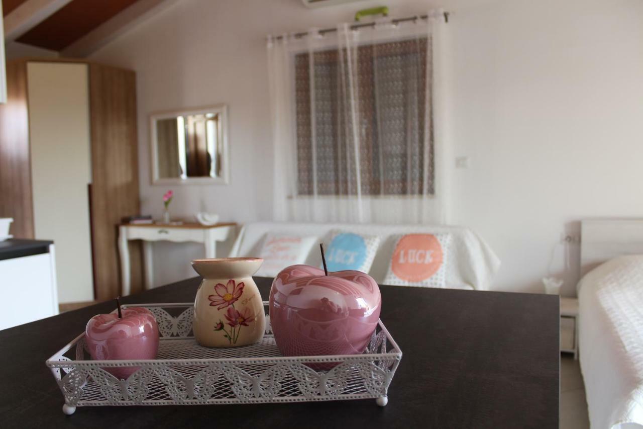 Apartman Sasa 로비니 외부 사진